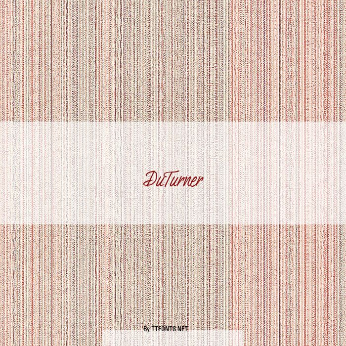 DuTurner example