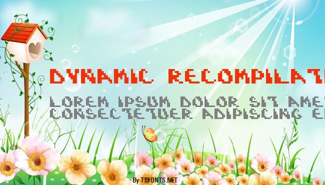 Dynamic Recompilation example
