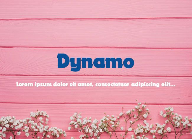 Dynamo example