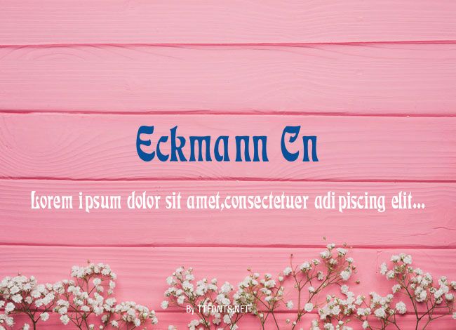 Eckmann Cn example