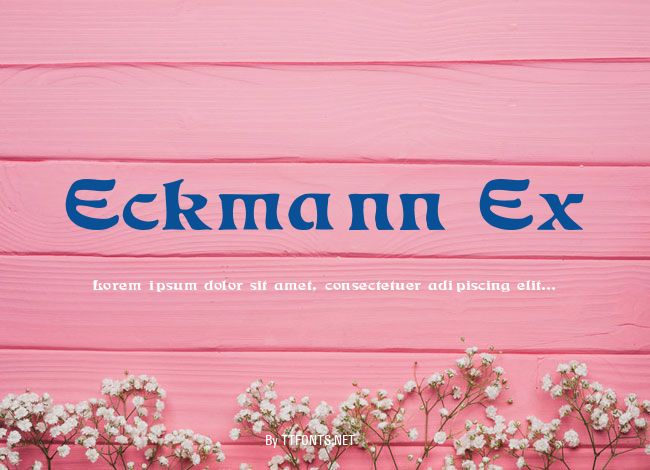 Eckmann Ex example