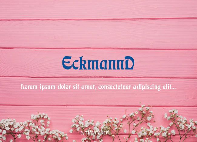 EckmannD example