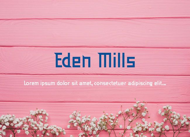 Eden Mills example