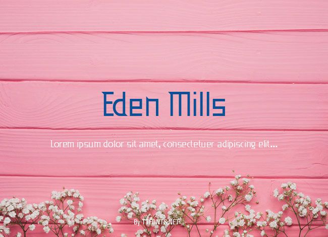Eden Mills example