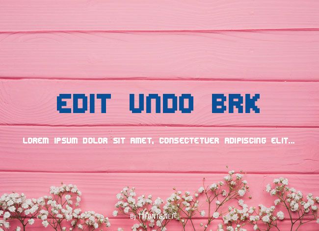 Edit Undo BRK example