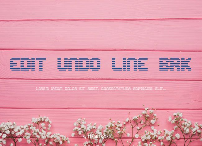 Edit Undo Line BRK example