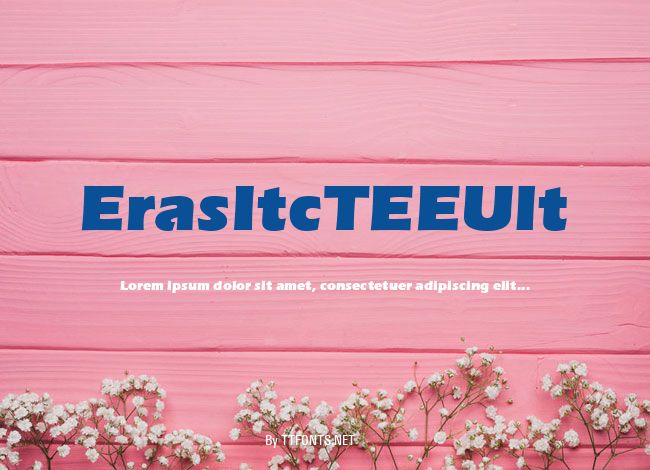 ErasItcTEEUlt example