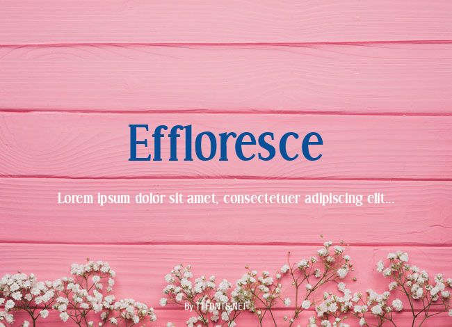 Effloresce example