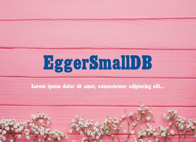 EggerSmallDB example