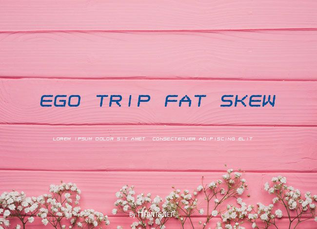 Ego trip Fat Skew example