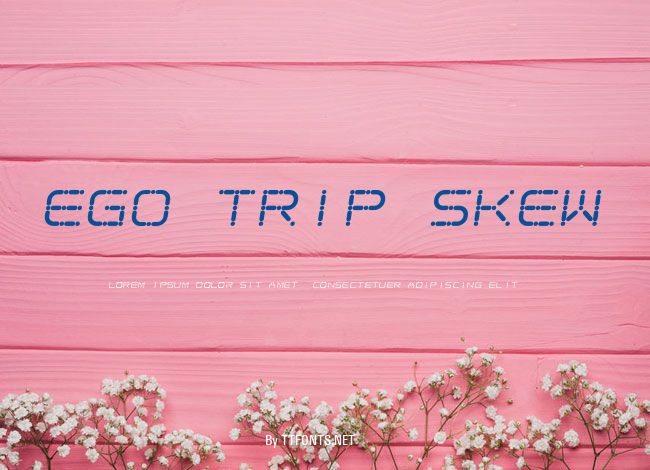 Ego trip Skew example