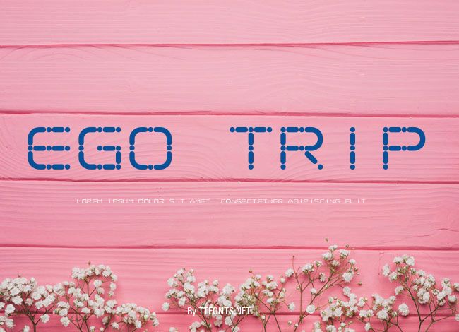 Ego trip example