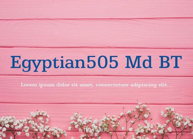 Egyptian505 Md BT example