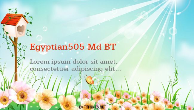 Egyptian505 Md BT example