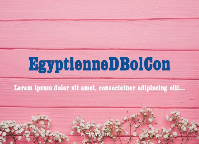 EgyptienneDBolCon example