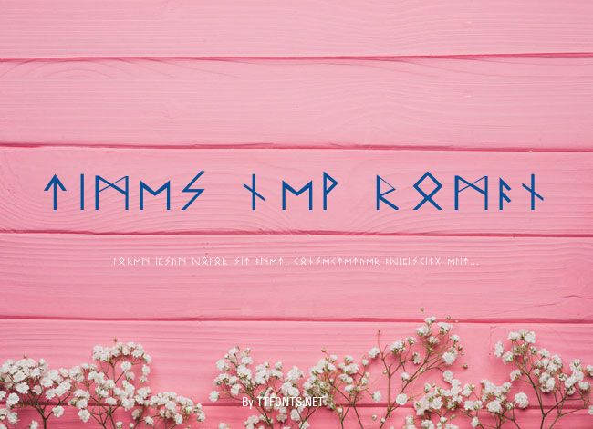 Times New Roman example