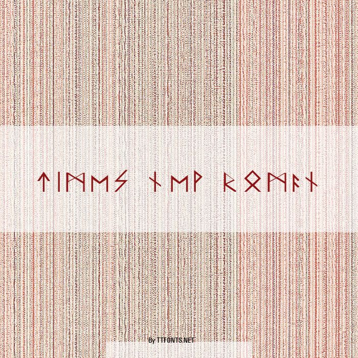 Times New Roman example