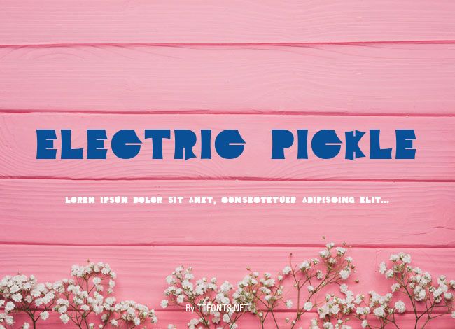 Electric Pickle example