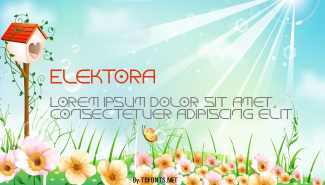 Elektora example