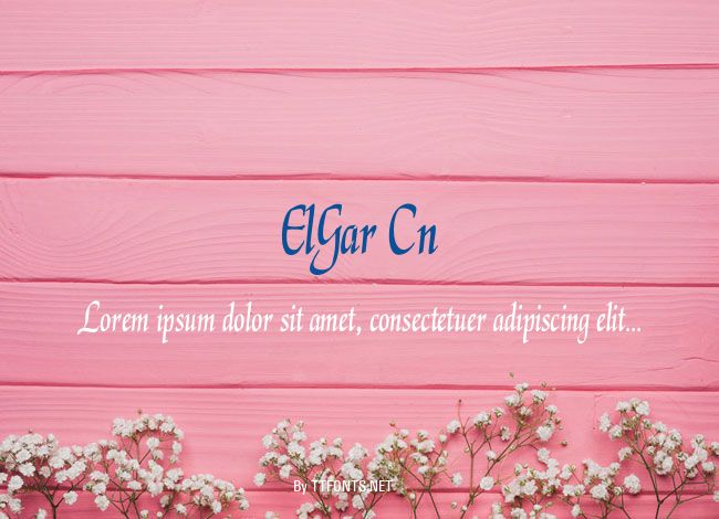 ElGar Cn example