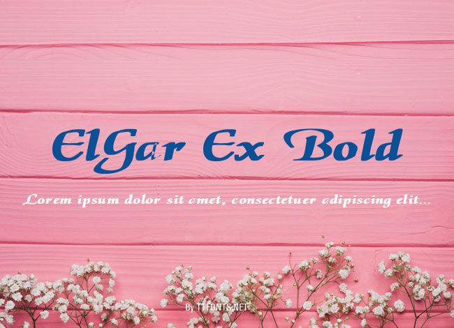 ElGar Ex Bold example