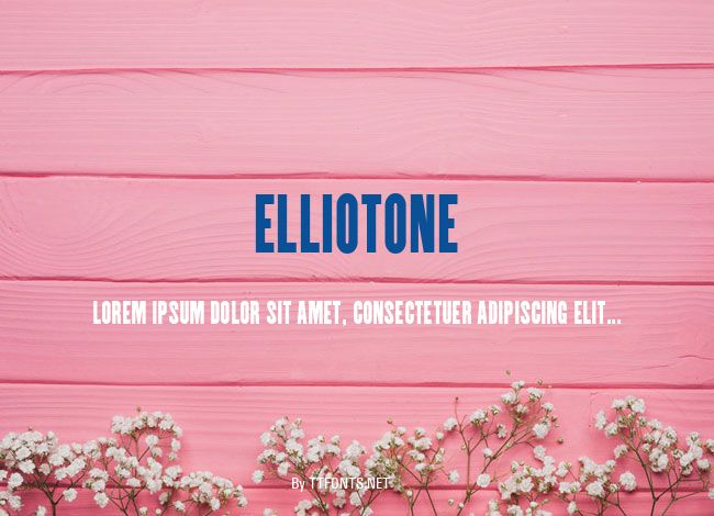 ElliotOne example