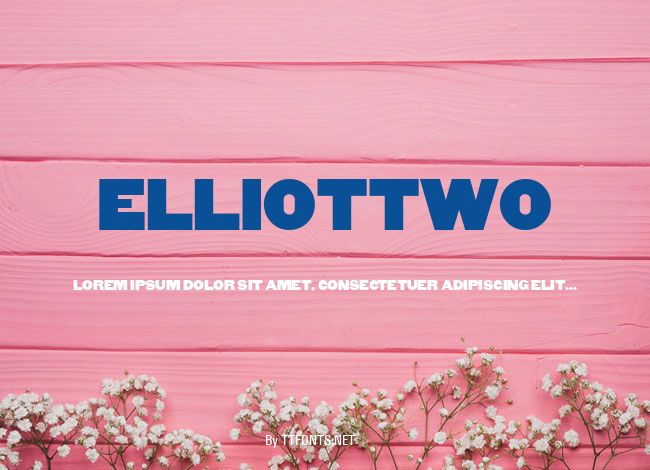ElliotTwo example