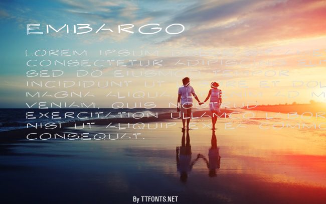Embargo example