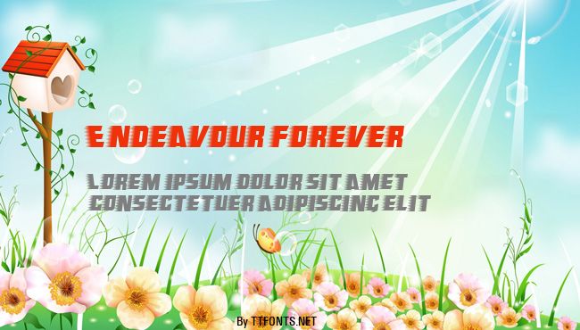 Endeavour forever example