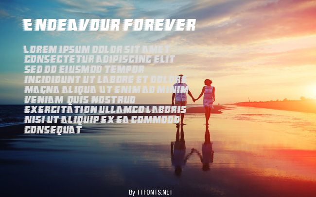 Endeavour forever example