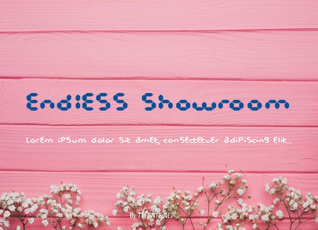 Endless Showroom example