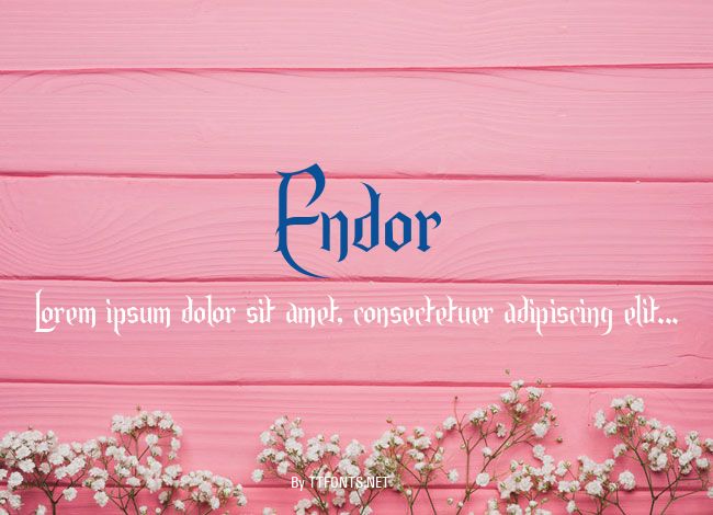 Endor example