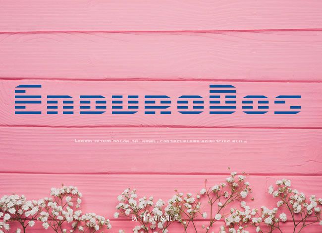 EnduroDos example