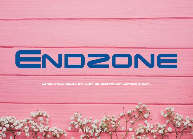 Endzone example