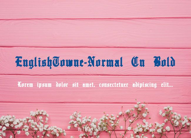 EnglishTowne-Normal Cn Bold example
