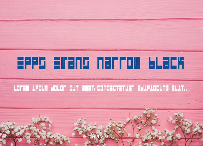 Epps Evans Narrow Black example