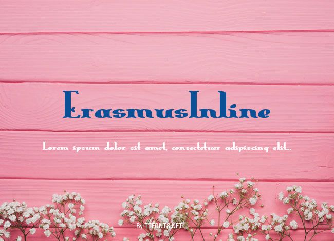 ErasmusInline example
