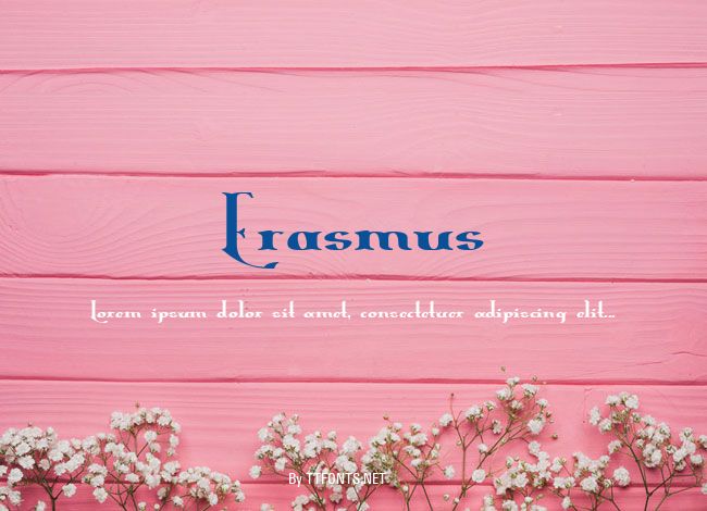Erasmus example