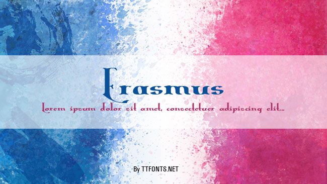 Erasmus example