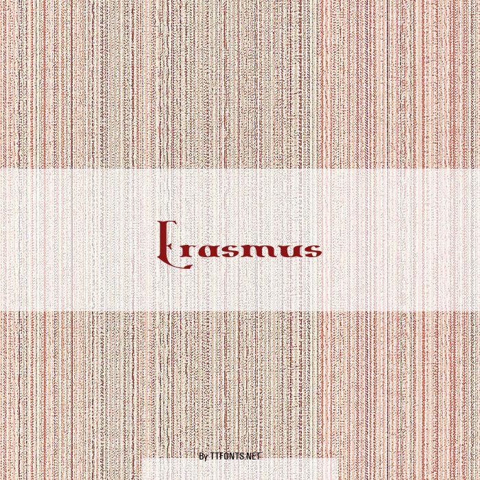 Erasmus example