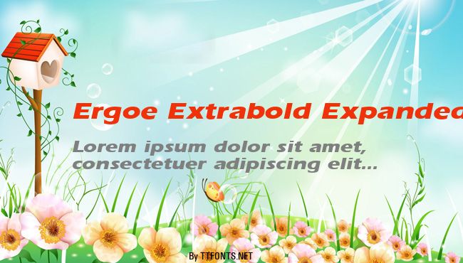 Ergoe Extrabold Expanded example