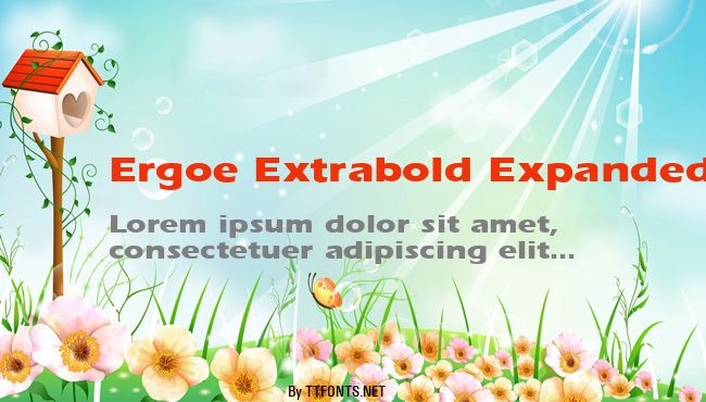 Ergoe Extrabold Expanded example
