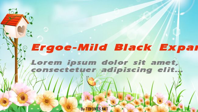 Ergoe-Mild Black Expanded example