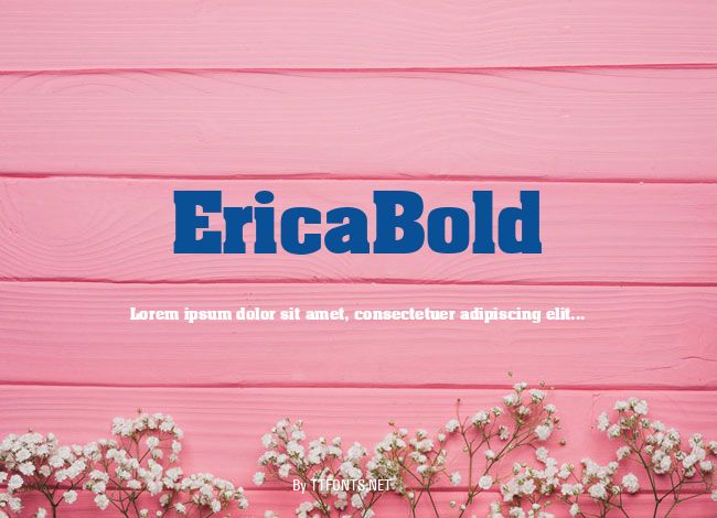 EricaBold example