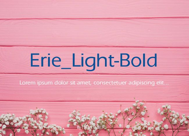 Erie_Light-Bold example