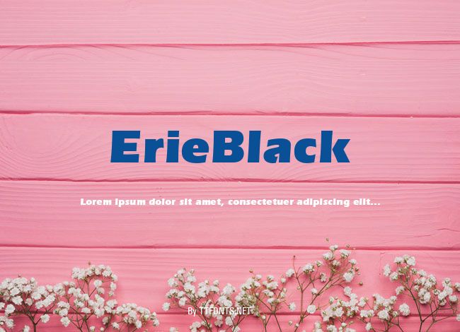 ErieBlack example