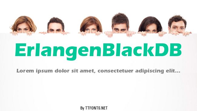 ErlangenBlackDB example