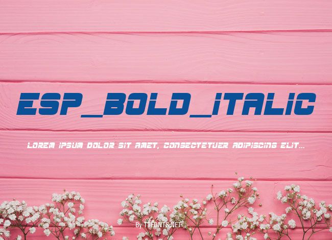 ESP_Bold_Italic example