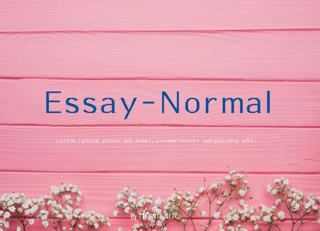 Essay-Normal example