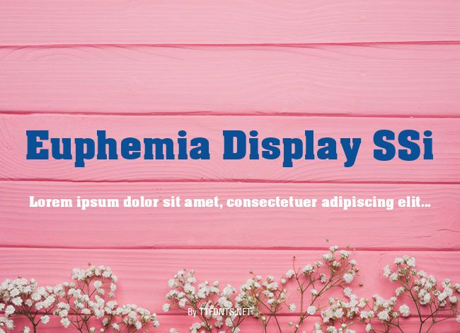 Euphemia Display SSi example